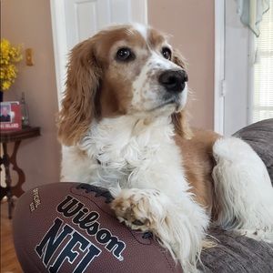 Meet your Posher, Corinne